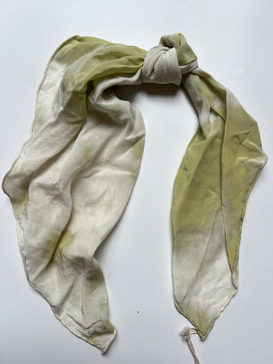 Onion Skins Silk Scarf