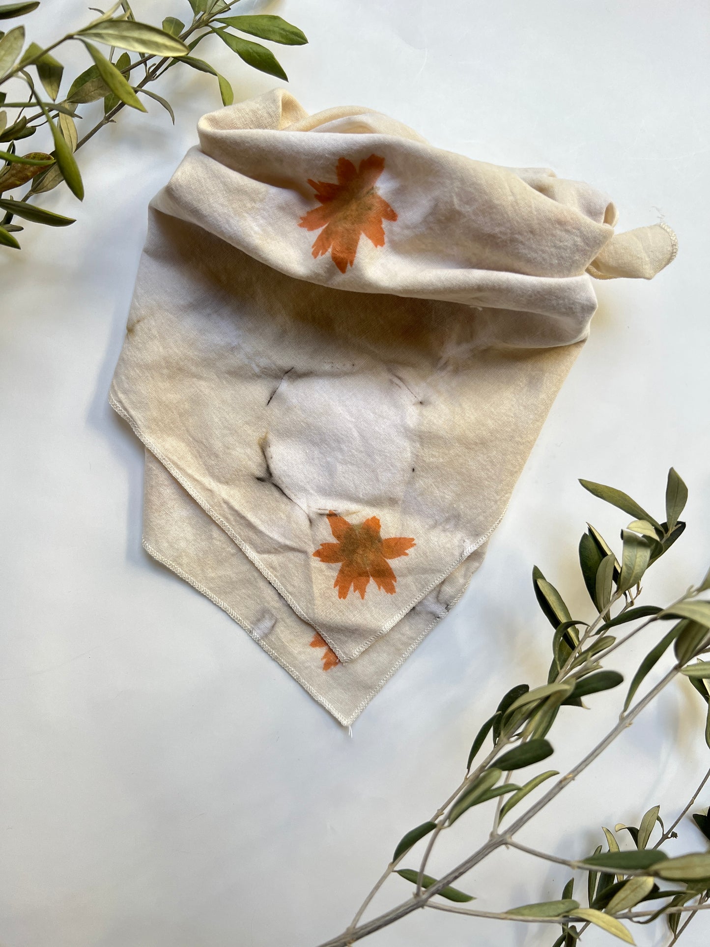 Circle Rosemary Bandana